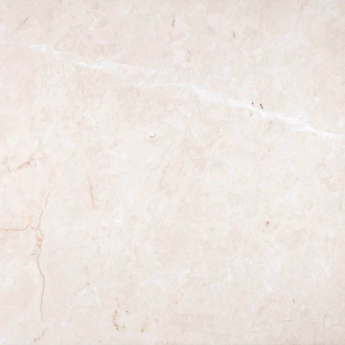 Crema Ella Honed 16'' x 16''  x 1/2'' Field Tile Building Materials 