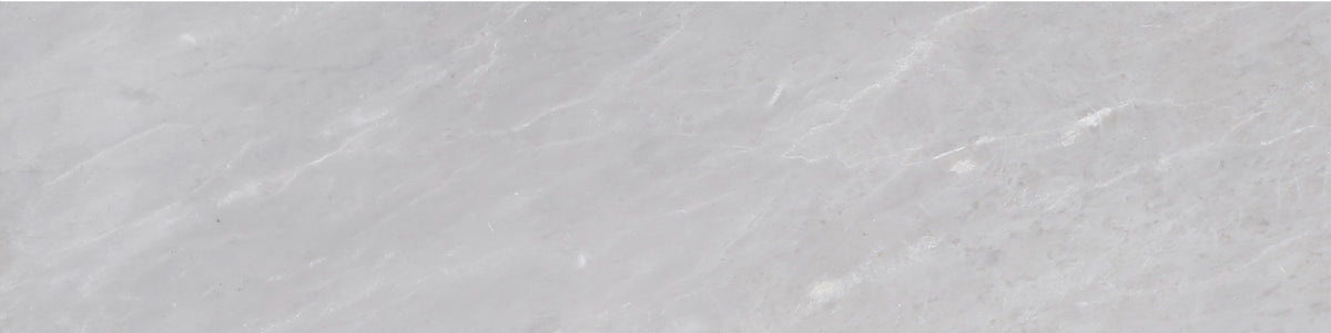 Earth Grey Polished 3'' x 12''  x 3/8'' Field Tile Building Materials 
