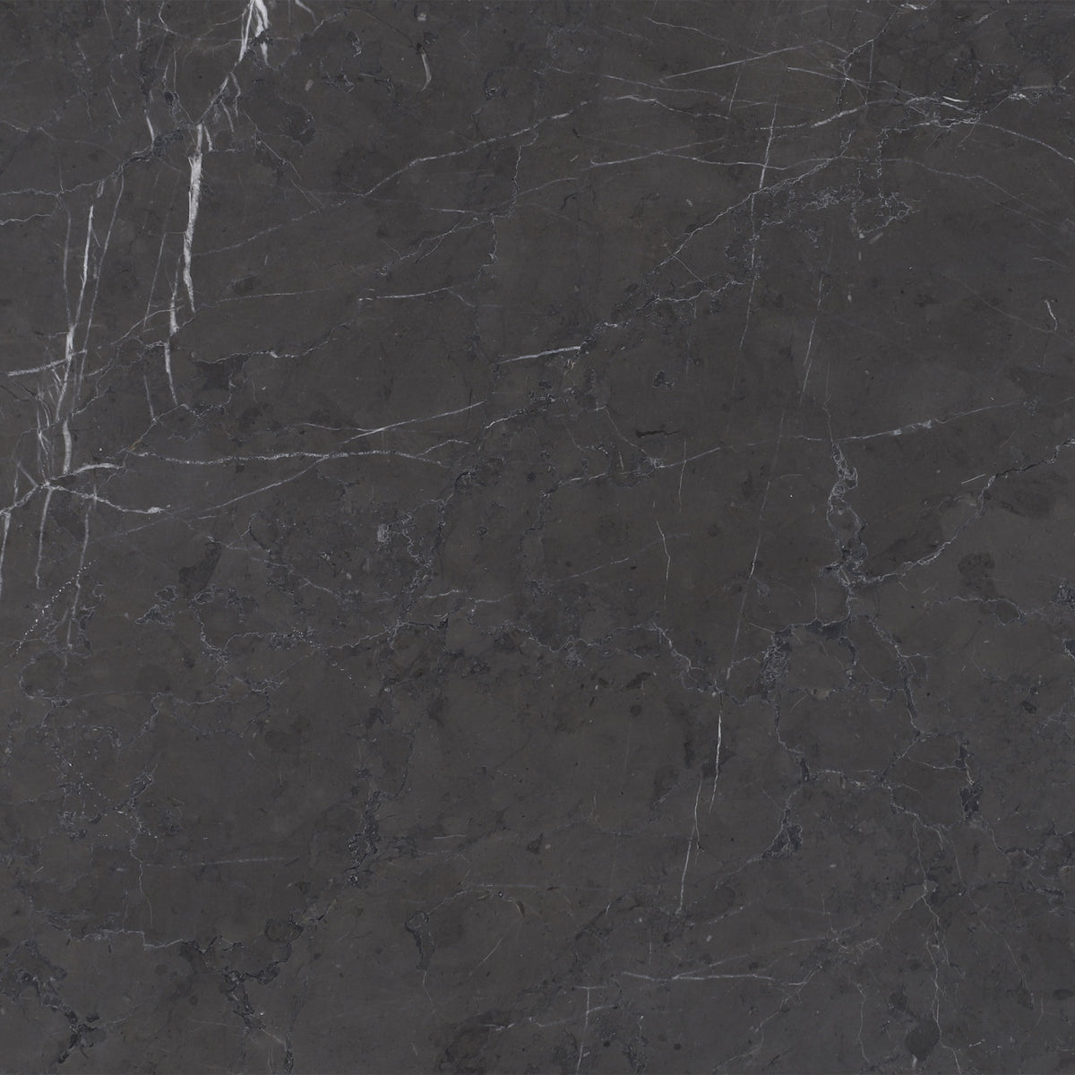 Mount Grey Plain Honed 12'' x 12''  x 3/8'' Field Tile