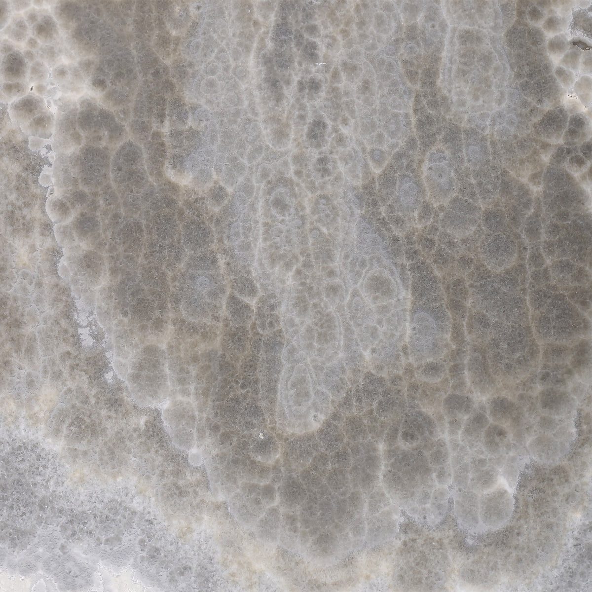 Dover Grey Onyx Honed 12'' x 12''  x 3/8'' Field Tile