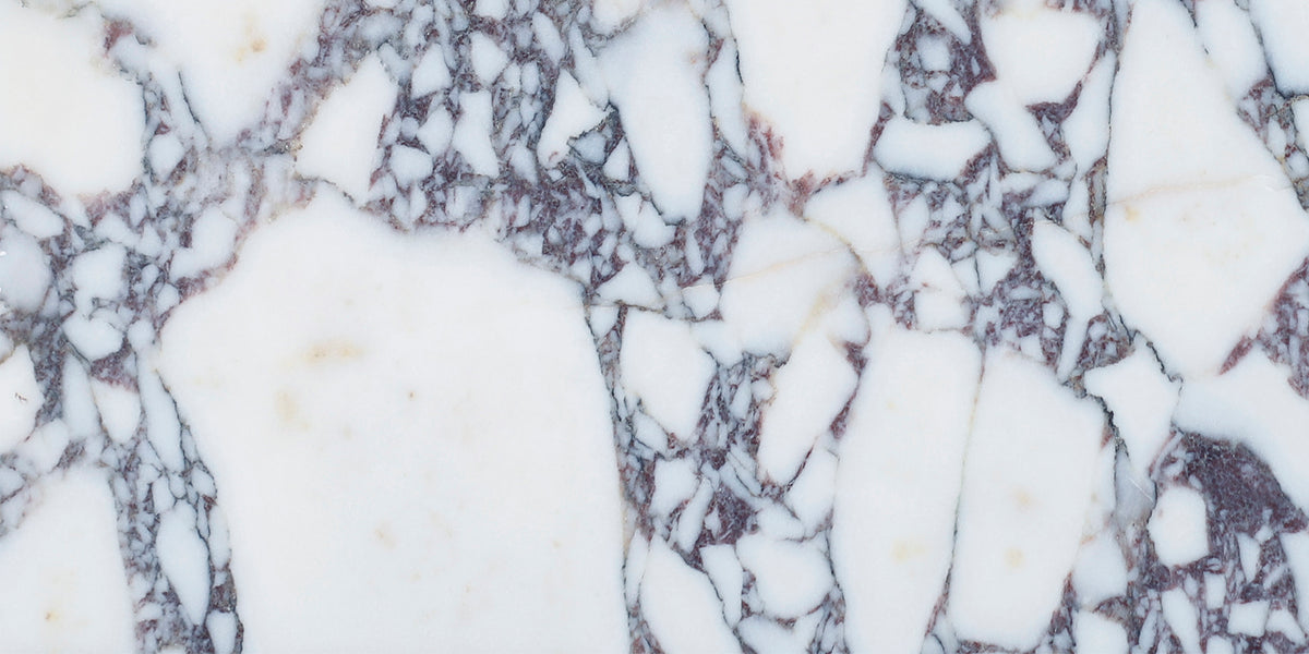Calacatta Viola Polished 6&#39;&#39; x 12&#39;&#39;  x 3/8&#39;&#39; Field Tile