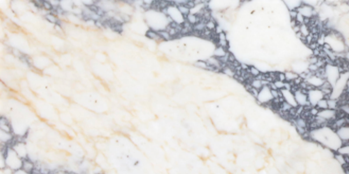 Calacatta Viola Honed 12'' x 24''  x 3/8'' Field Tile