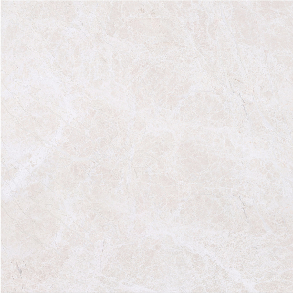 Vanillish Pearl Polished 16'' x 16''  x 5/8'' Field Tile Building Materials 