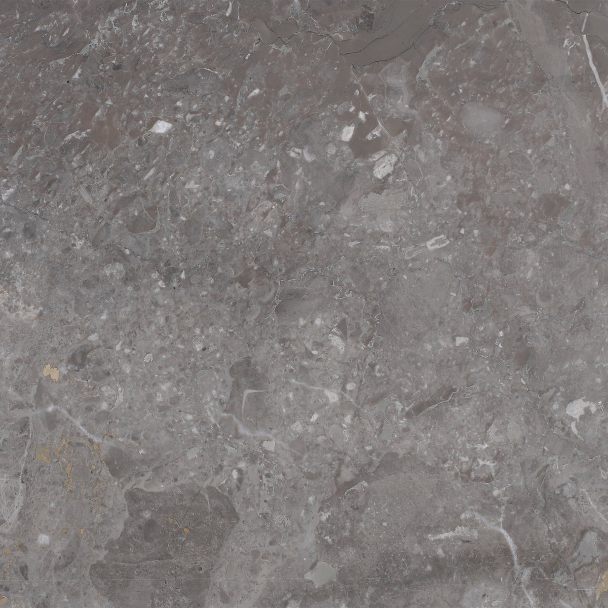 Caribbean Grey Honed 12'' x 12''  x 3/8'' Field Tile