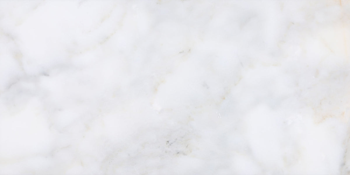 Calacatta Vida Honed 12'' x 24''  x 3/8'' Field Tile Building Materials 