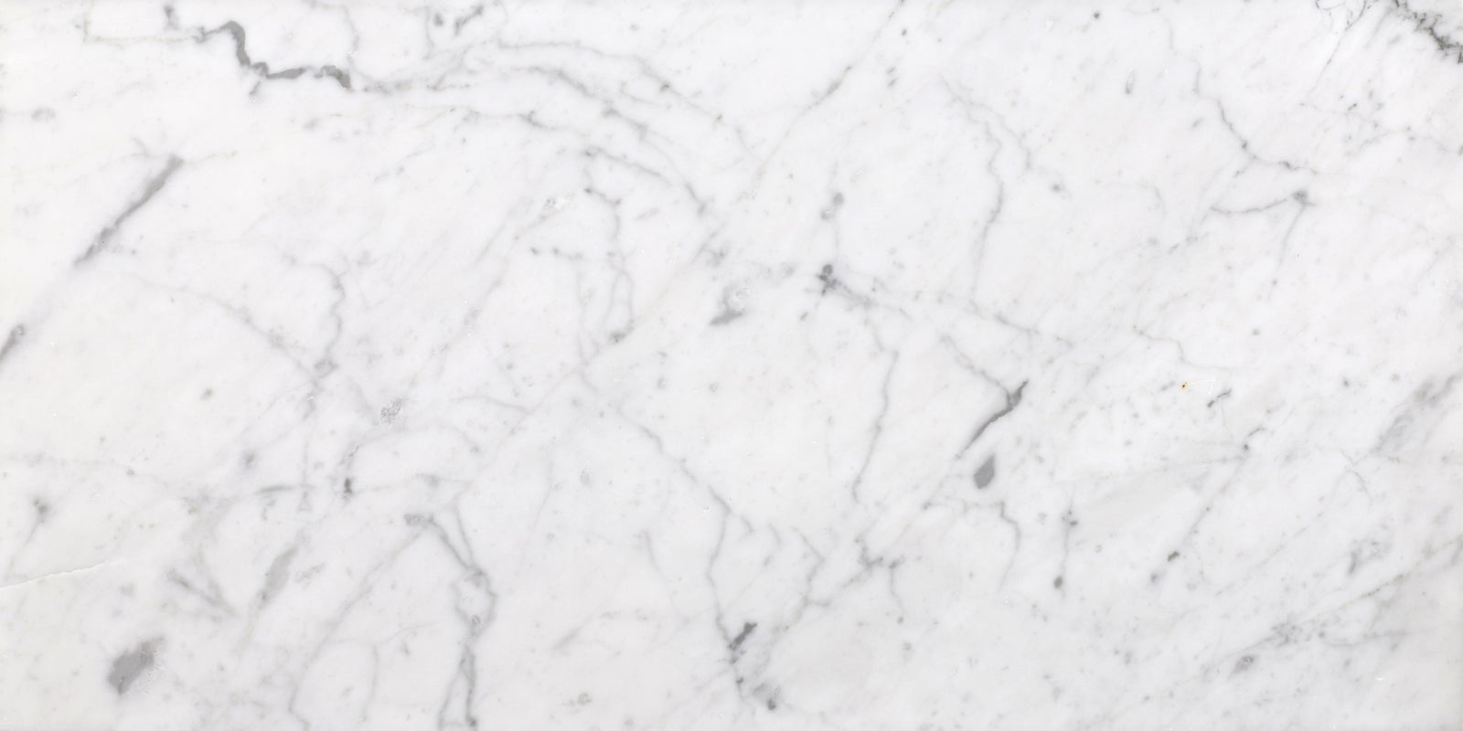 Bianco Carrara Honed 12'' x 24''  x 3/8'' Field Tile Building Materials 