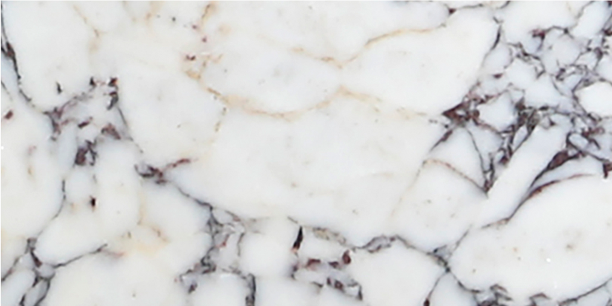 Calacatta Viola Honed 6'' x 12''  x 3/8'' Field Tile