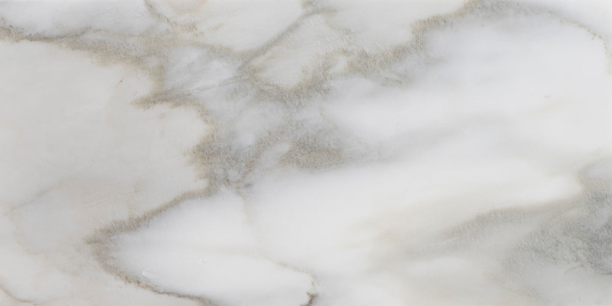 Calacatta Cremo Honed 12&#39;&#39; x 24&#39;&#39;  x 3/8&#39;&#39; Field Tile Field Tile 