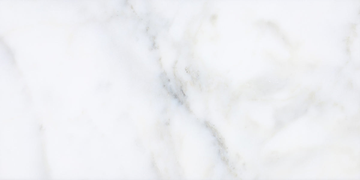 Calacatta Vida Honed 12'' x 24''  x 3/8'' Field Tile Building Materials 