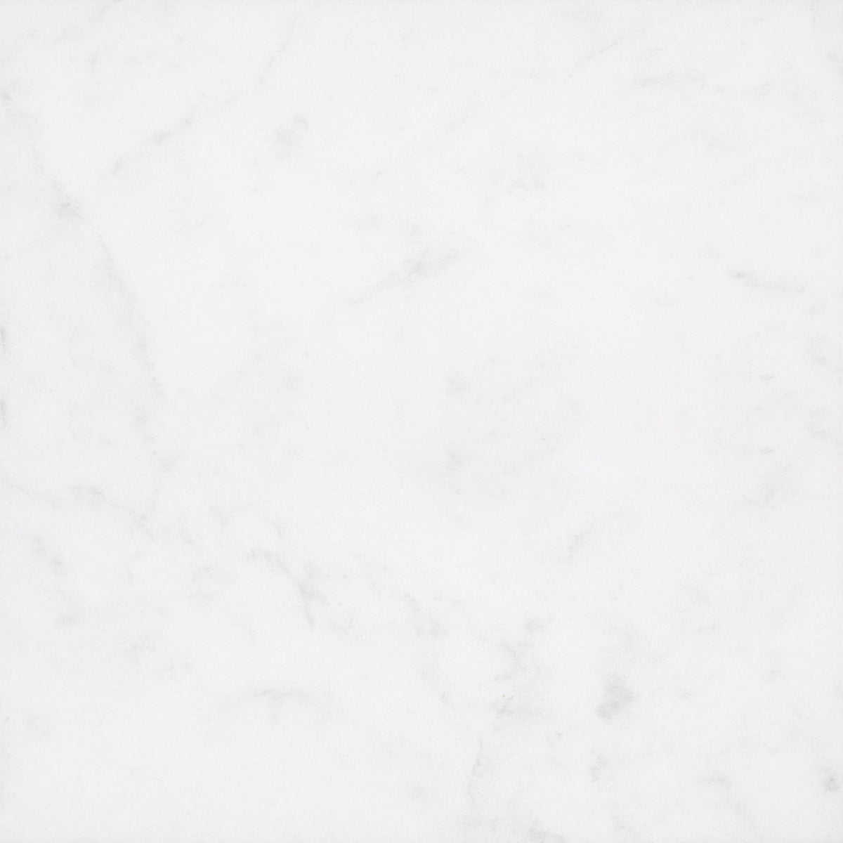 Alba Vera Honed 24'' x 24''  x 3/8'' Field Tile