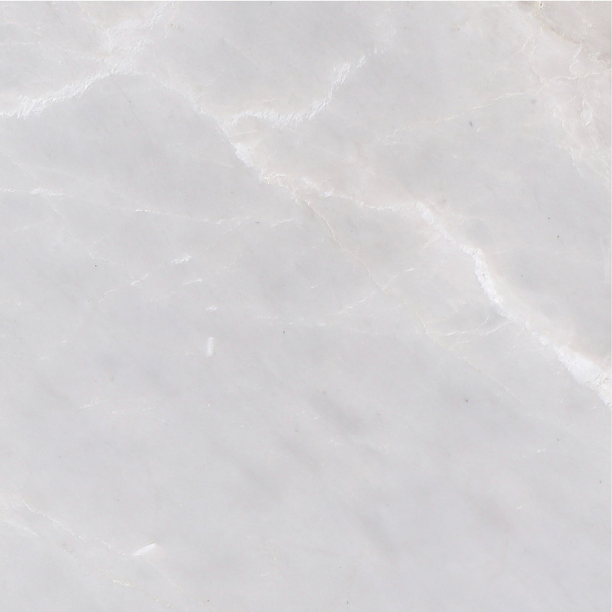 Ice Grey Polished 12'' x 12''  x 3/8'' Field Tile