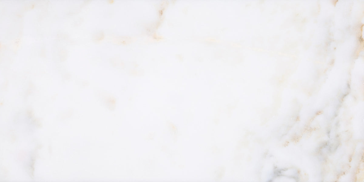 Calacatta Vida Polished 12'' x 24''  x 3/8'' Field Tile