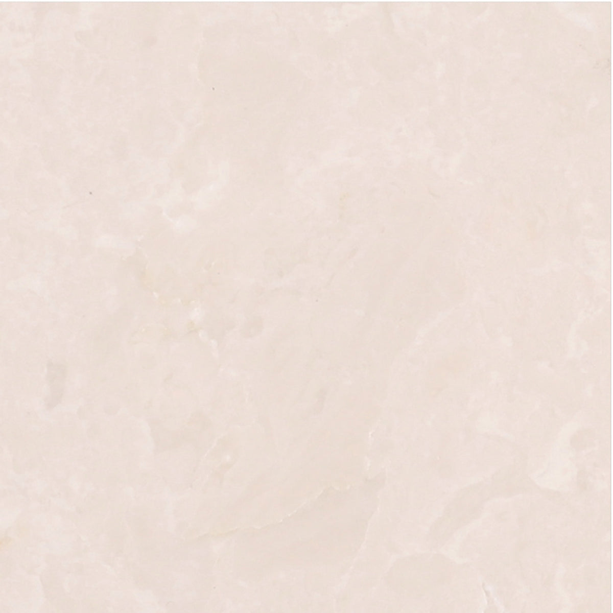 Crema Ella Honed 4&#39;&#39; x 4&#39;&#39;  x 3/8&#39;&#39; Field Tile Field Tile 