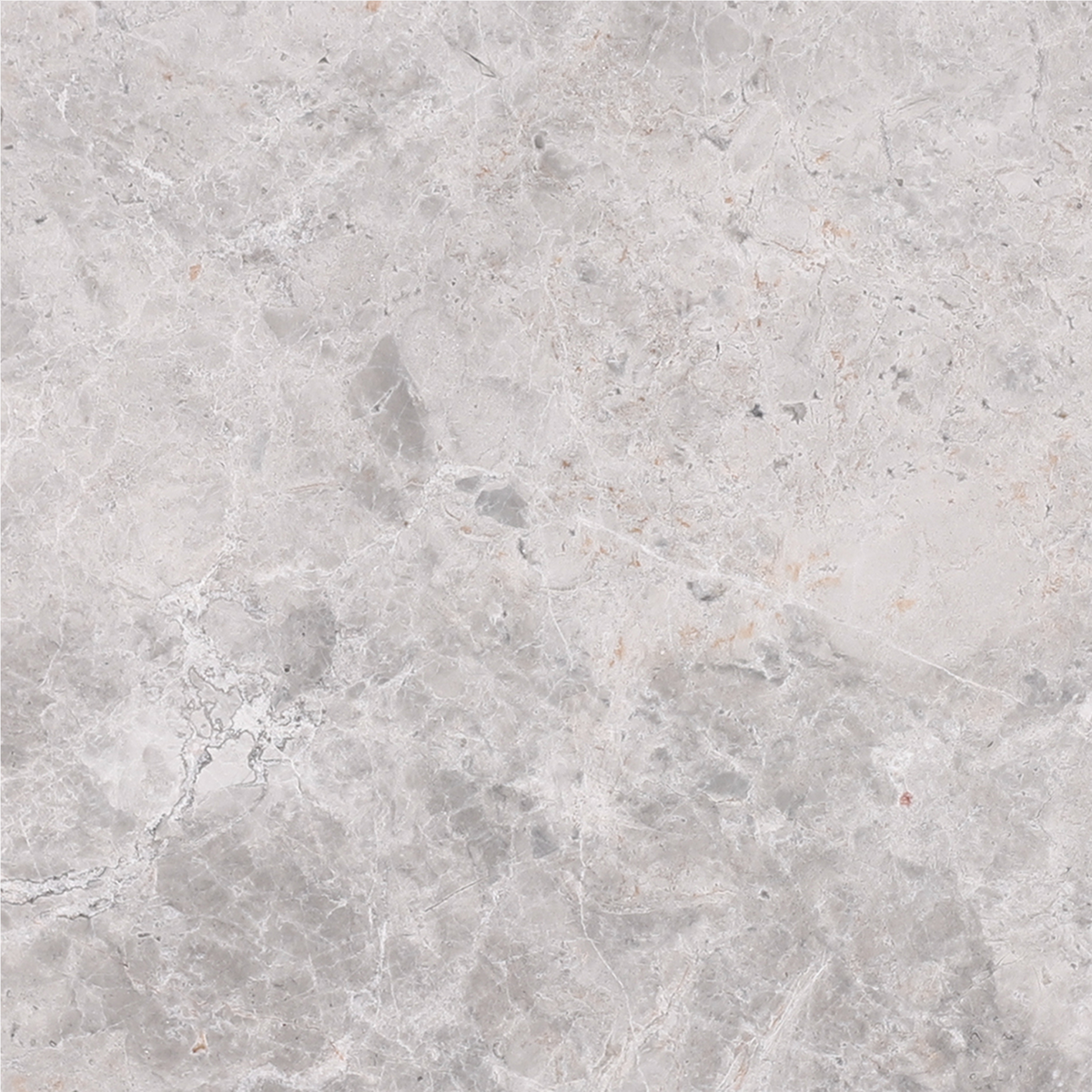 Tundra Grey Polished 12'' x 12''  x 3/8'' Field Tile Building Materials 