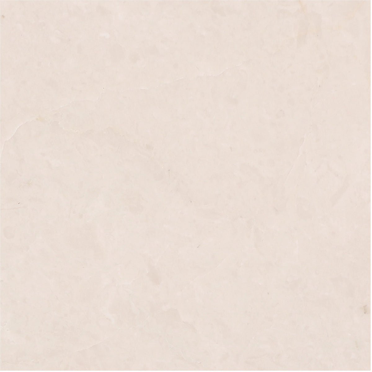 Crema Ella Honed 6'' x 6''  x 3/8'' Field Tile