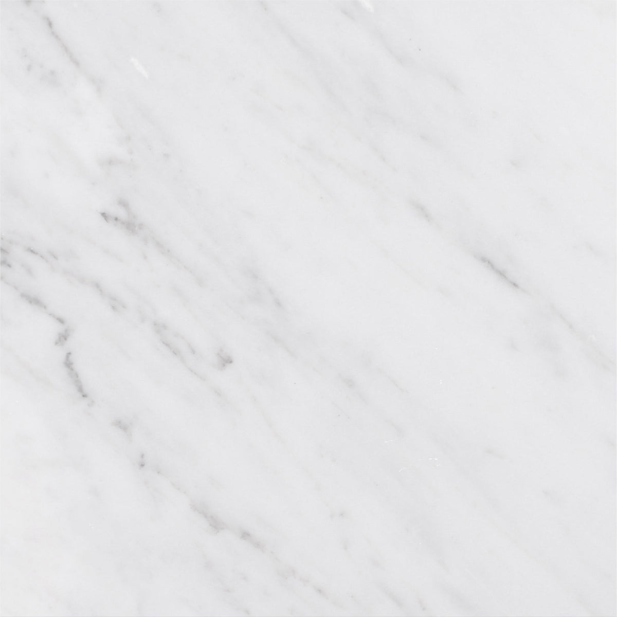 Alba Vera Polished 18'' x 18''  x 3/8'' Field Tile Building Materials 