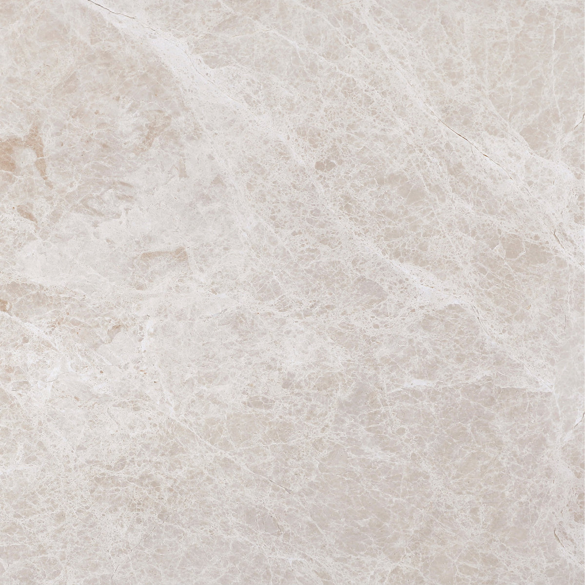 Vanillish Pearl Honed 18'' x 18''  x 5/8'' Field Tile