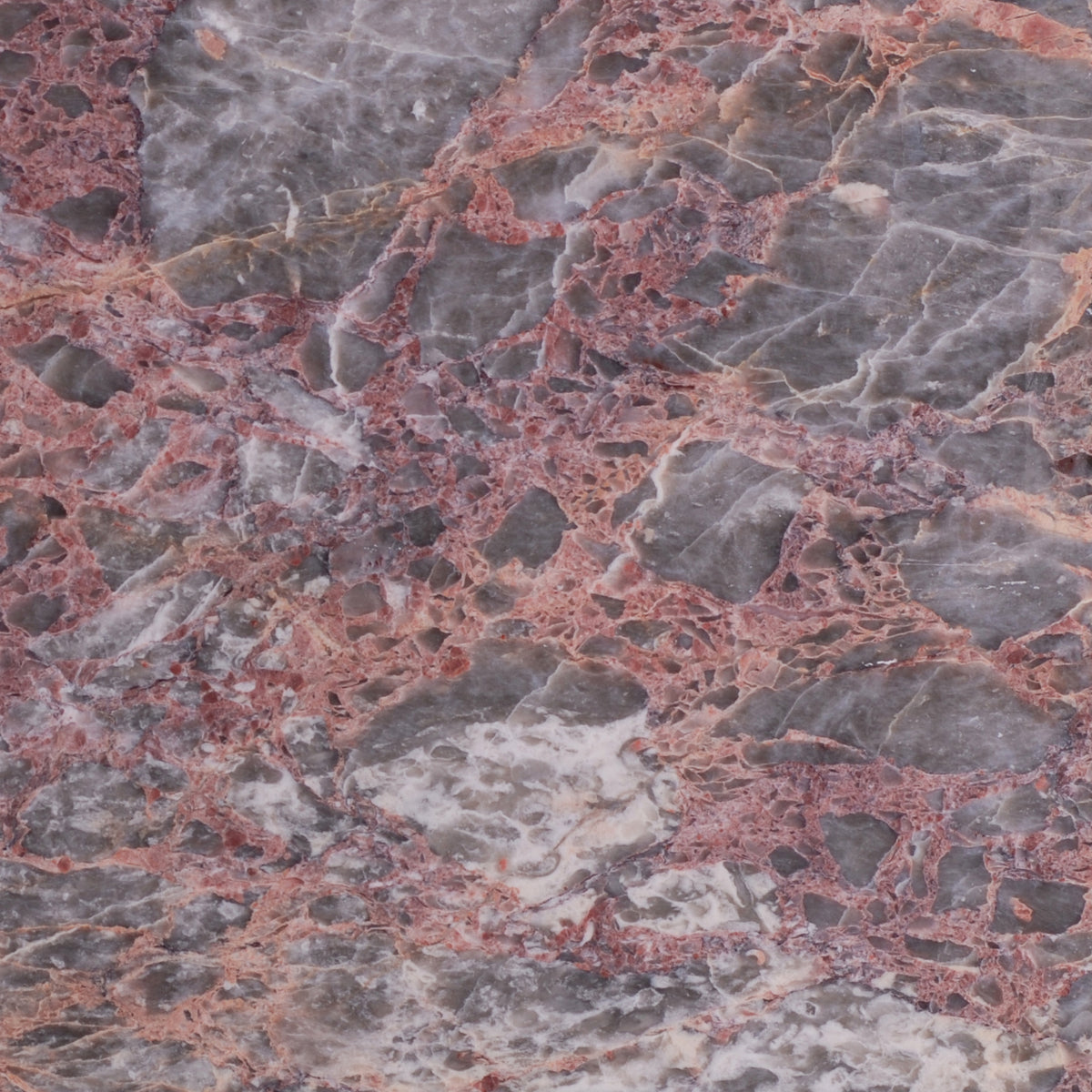 Salome Polished 12'' x 12''  x 3/8'' Field Tile