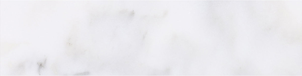 Calacatta Vida Honed 3'' x 12''  x 3/8'' Field Tile Building Materials 