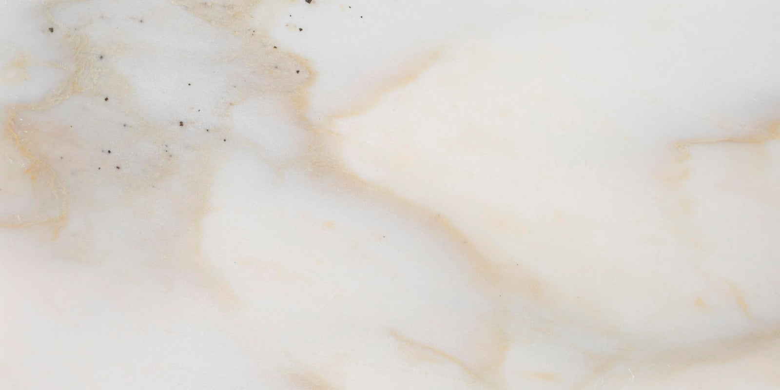 Calacatta Cremo Honed 6'' x 12''  x 3/8'' Field Tile Building Materials 