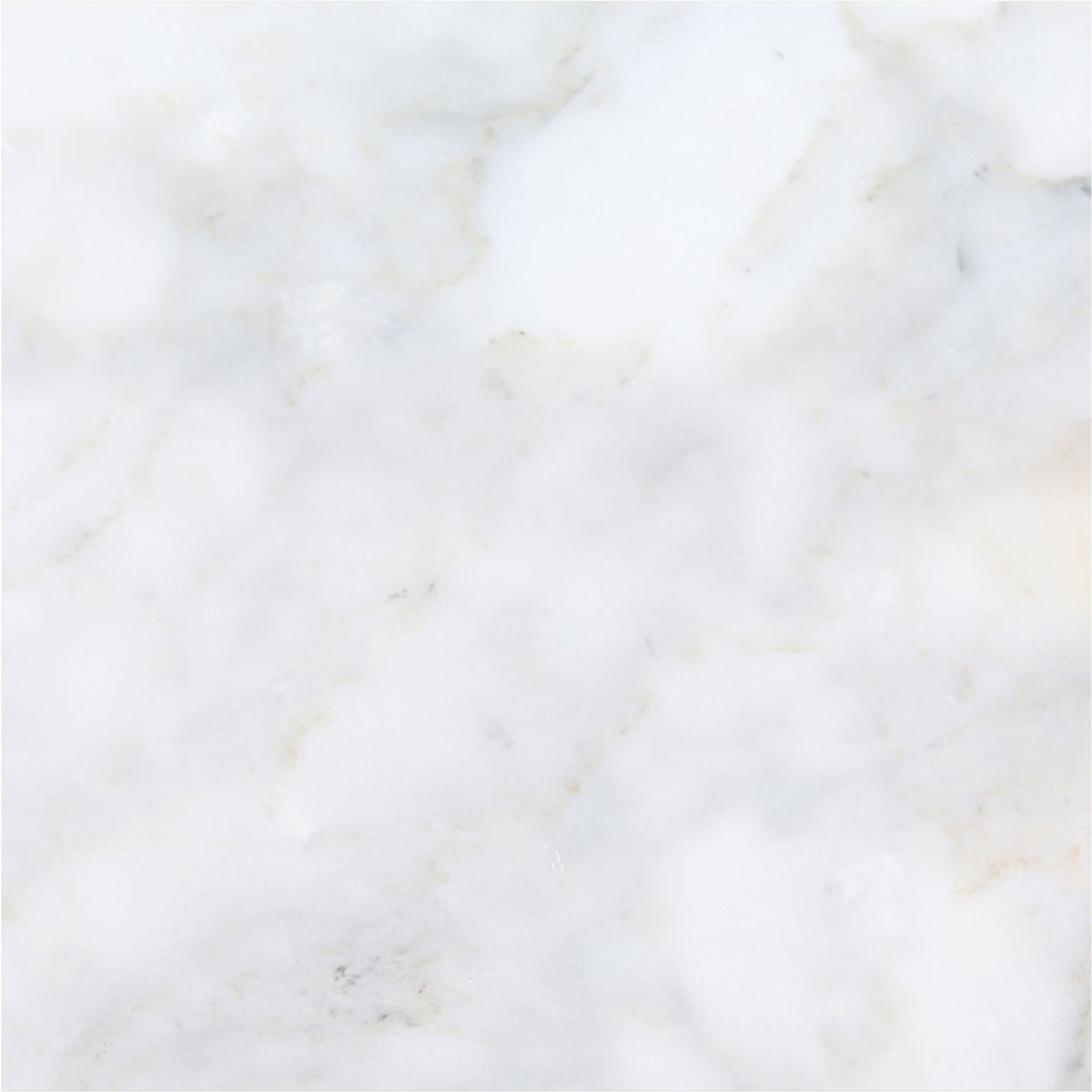 Calacatta Vida Honed 18'' x 18''  x 3/8'' Field Tile