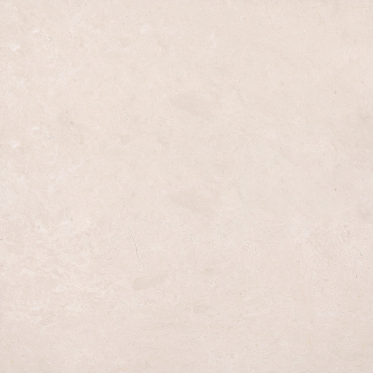 Crema Ella Honed 24'' x 24''  x 5/8'' Field Tile Building Materials 