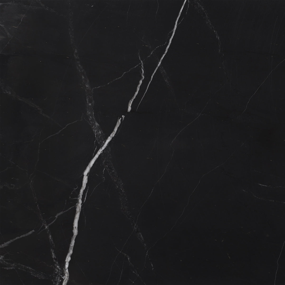 Black Silk Honed 12'' x 12''  x 3/8'' Field Tile