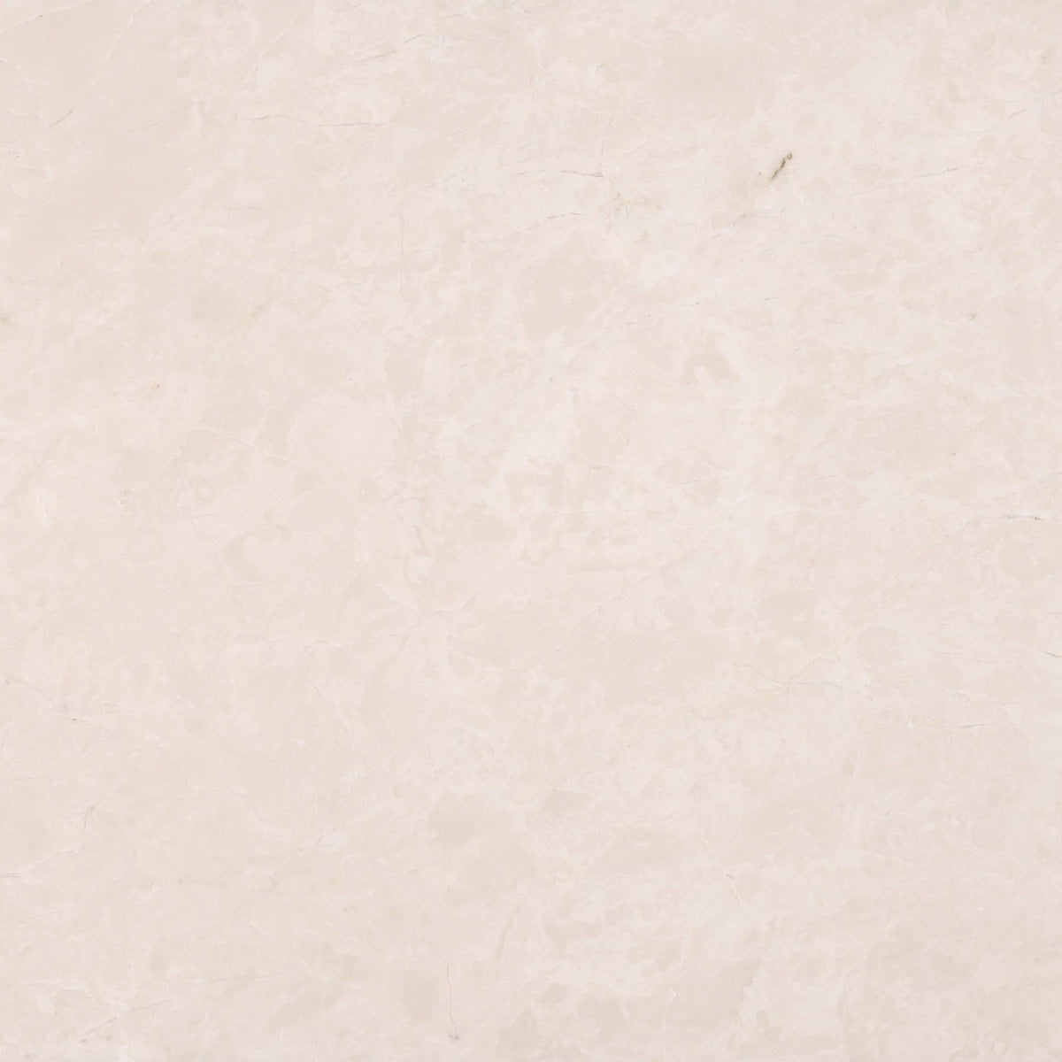 Crema Ella Polished 12&#39;&#39; x 12&#39;&#39;  x 3/8&#39;&#39; Field Tile Field Tile 