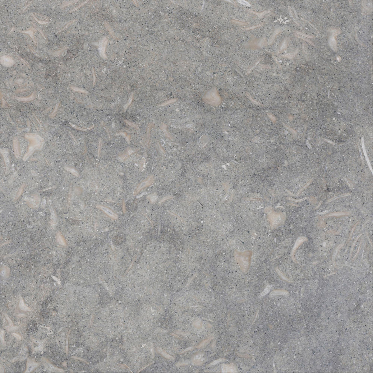 Blue Grey Honed 18&#39;&#39; x 18&#39;&#39;  x 1/2&#39;&#39; Field Tile