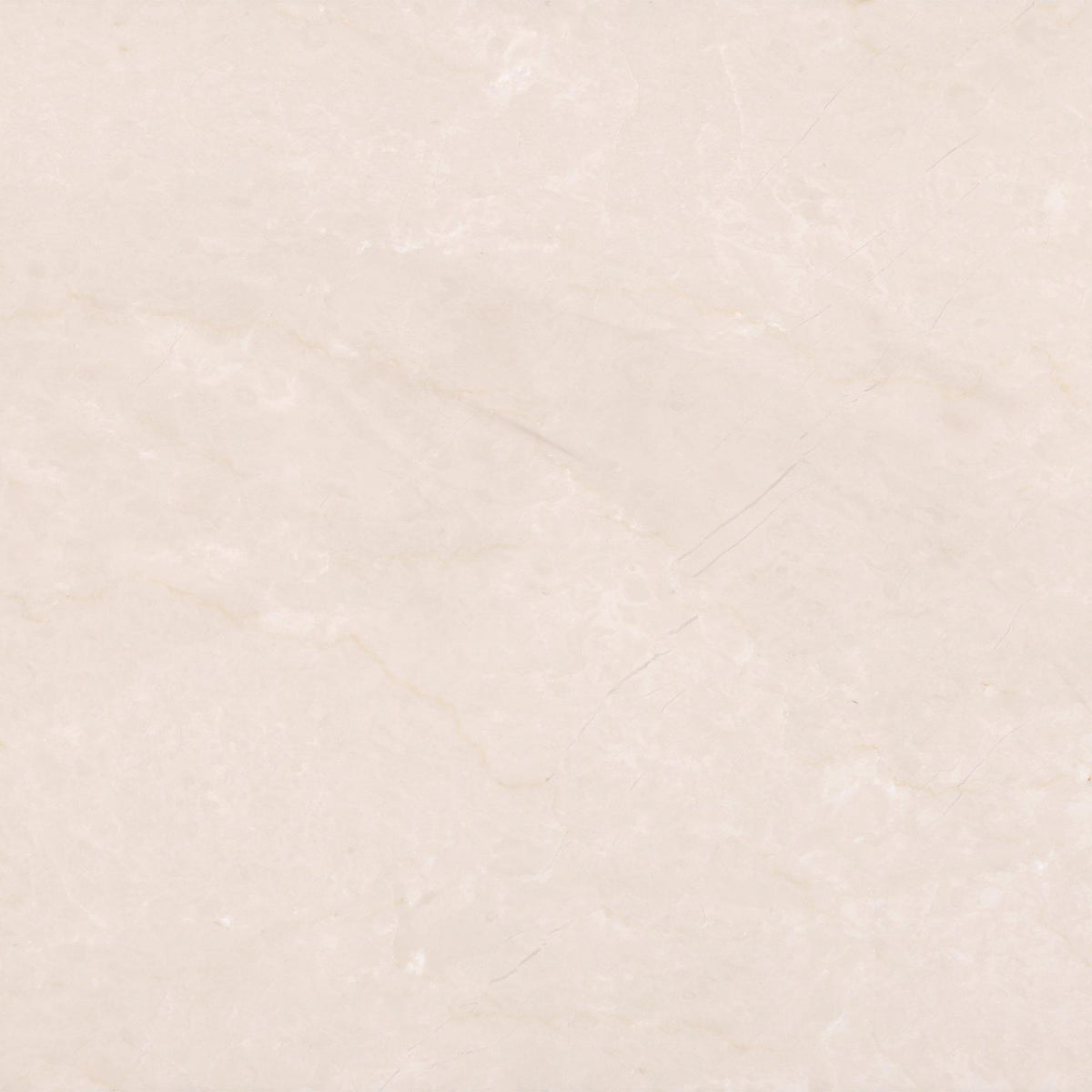 Crema Ella Honed 12&#39;&#39; x 12&#39;&#39;  x 3/8&#39;&#39; Field Tile