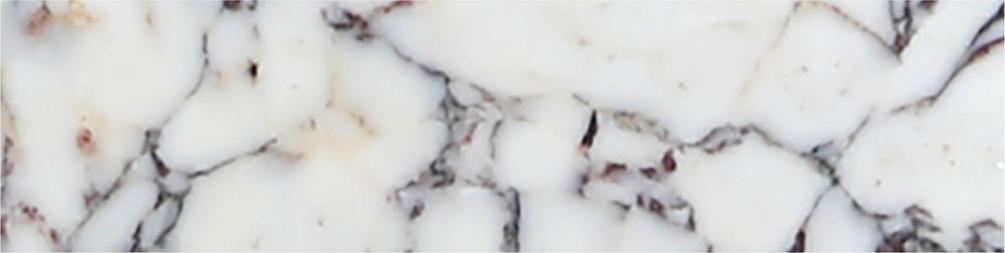 Calacatta Viola Honed 3'' x 12''  x 3/8'' Field Tile Field Tile 