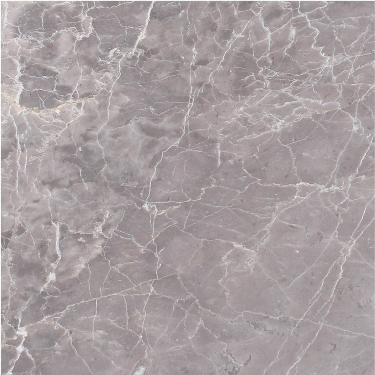 Earth Grey Polished 12&#39;&#39; x 12&#39;&#39;  x 1/2&#39;&#39; Field Tile