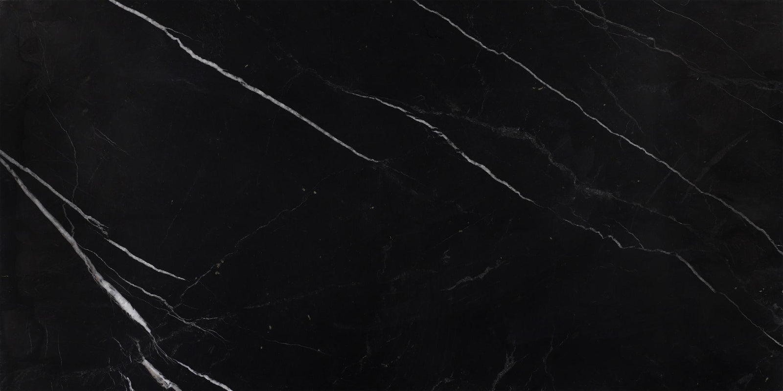 Black Silk Polished 12'' x 24''  x 1/2'' Field Tile Field Tile 