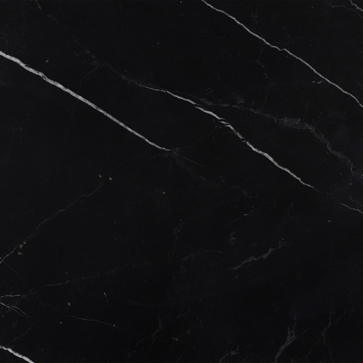 Black Silk Polished 12&#39;&#39; x 12&#39;&#39;  x 5/8&#39;&#39; Field Tile Field Tile 