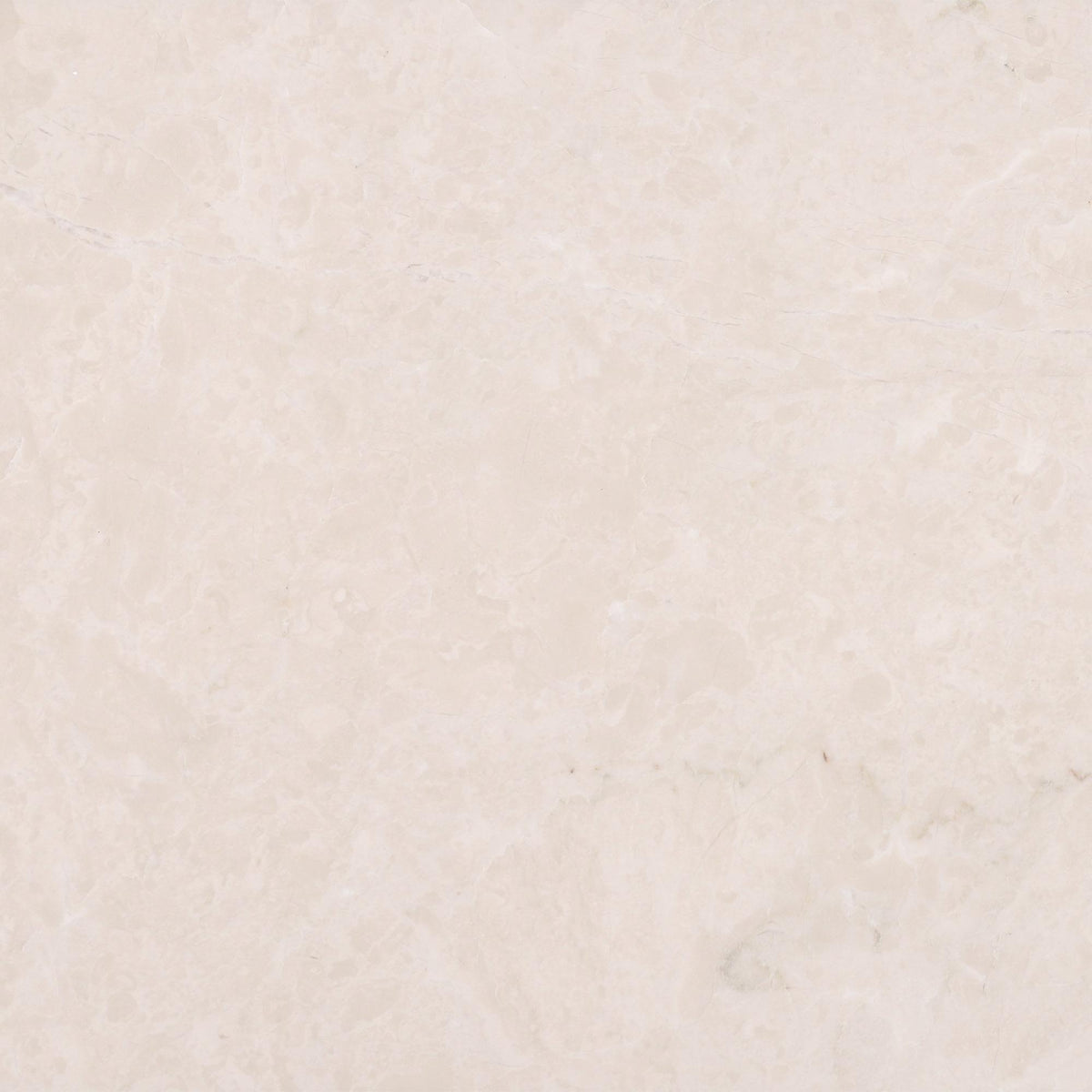 Crema Ella Rosa Polished 12&#39;&#39; x 12&#39;&#39;  x 3/8&#39;&#39; Field Tile