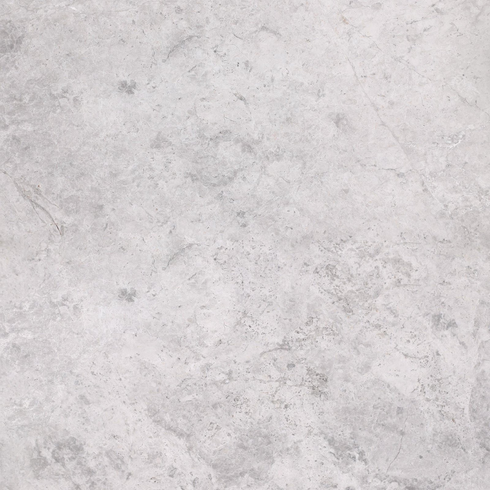 Tundra Grey Honed 24'' x 24''  x 5/8'' Field Tile Field Tile 