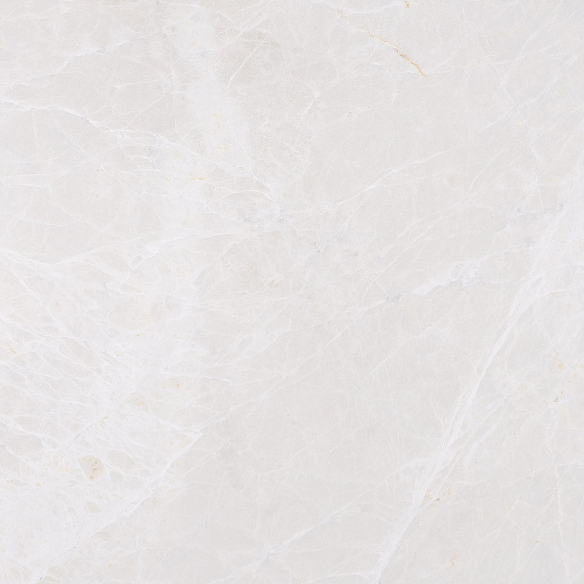 Moon Cream Honed 12&#39;&#39; x 12&#39;&#39;  x 3/8&#39;&#39; Field Tile