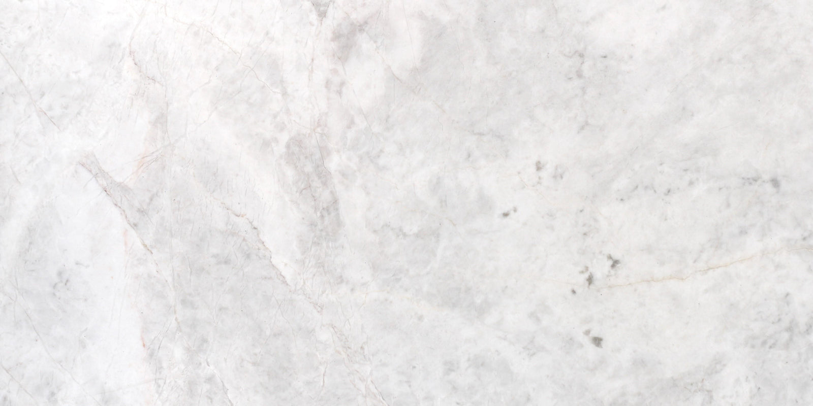 Elegantia Honed 12'' x 24''  x 1/2'' Field Tile Field Tile 