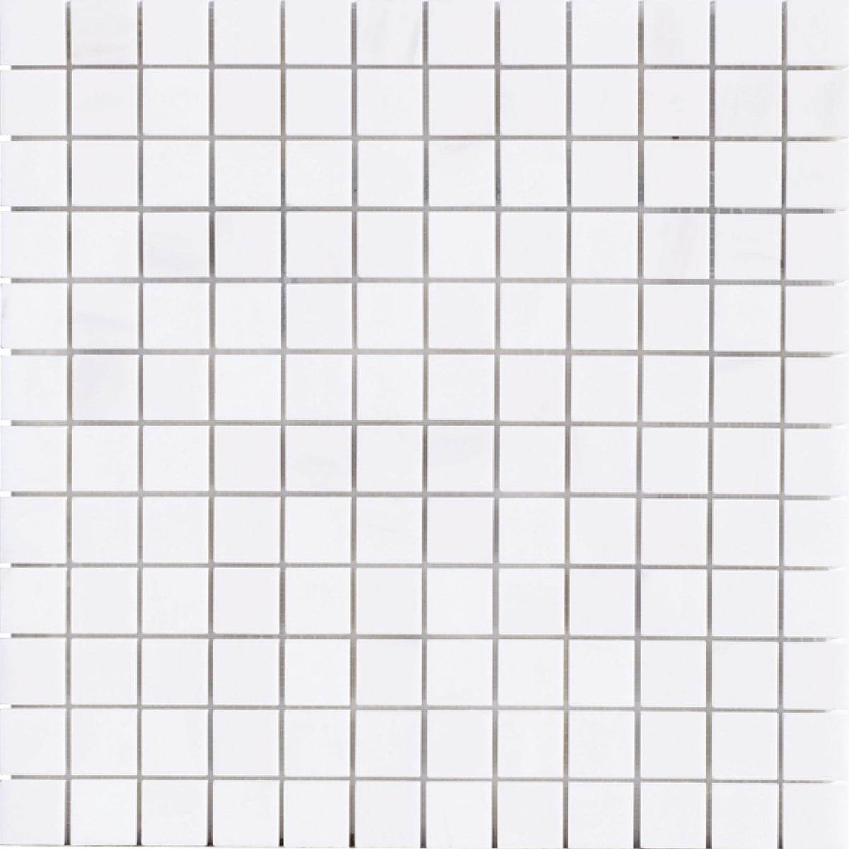 Glacier White 1&#39;&#39;x1&#39;&#39; Honed Mosaic