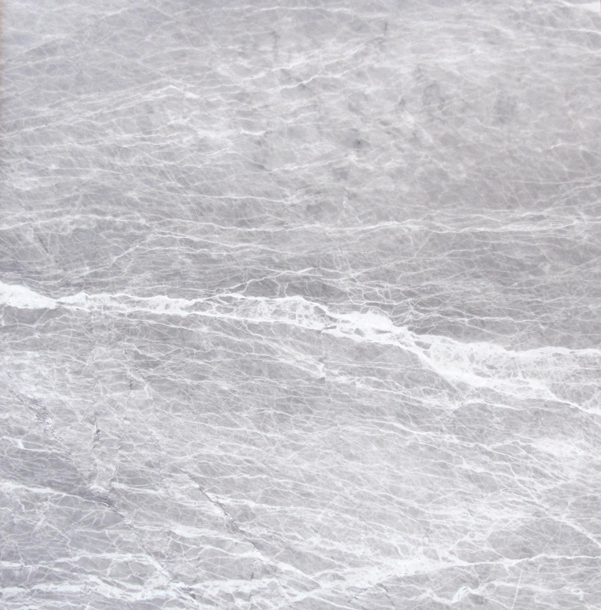 Nordic Grey Polished 24&#39;&#39; x 24&#39;&#39;  x 5/8&#39;&#39; Field Tile