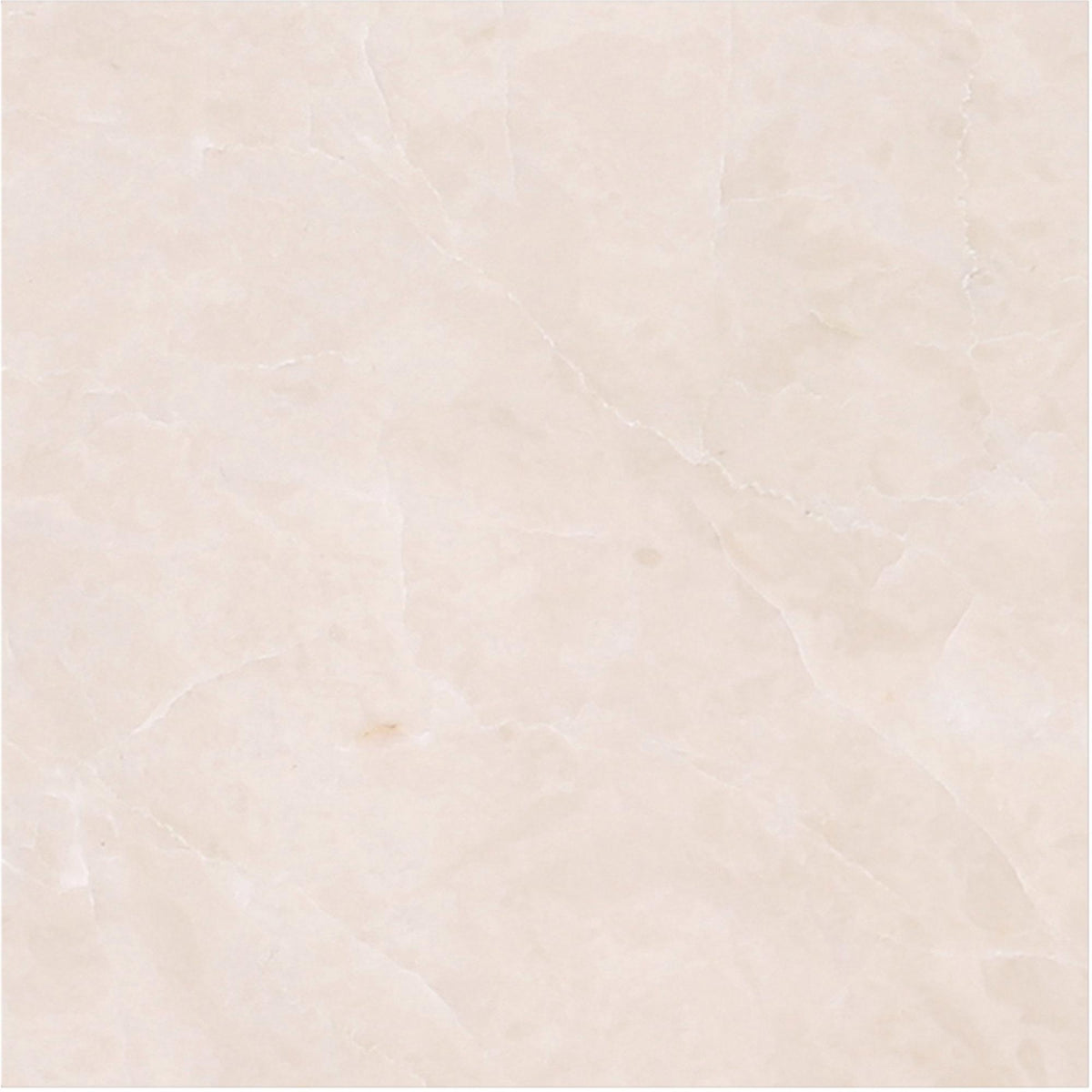 Crema Ella Honed 4&#39;&#39; x 4&#39;&#39;  x 3/8&#39;&#39; Field Tile