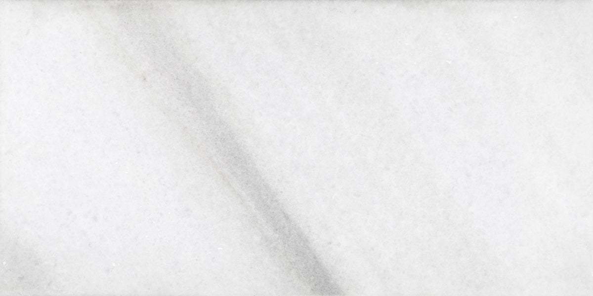 Biarritz White Polished 16&#39;&#39; x 32&#39;&#39;  x 1/2&#39;&#39; Field Tile