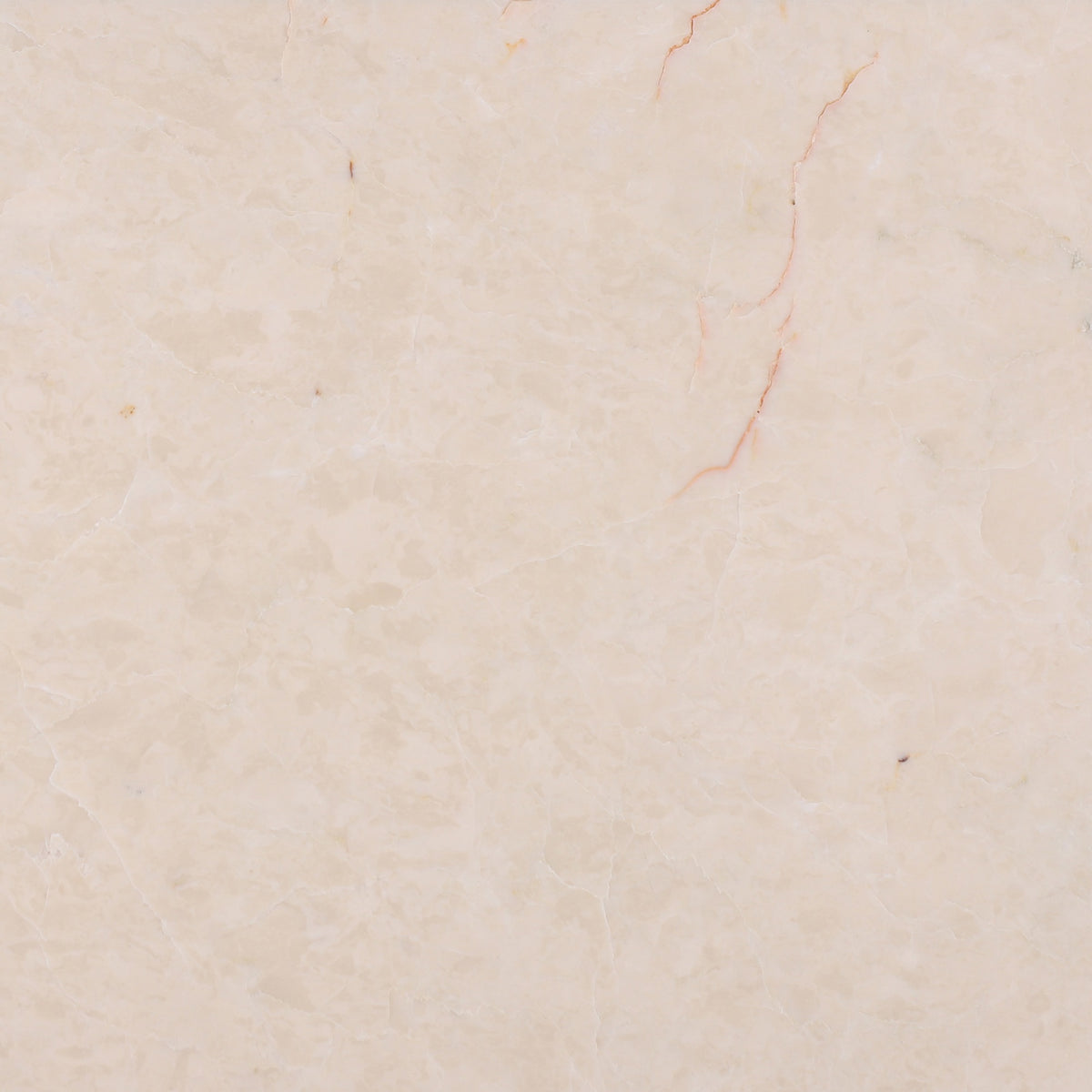 Crema Ella Polished 12'' x 12''  x 3/8'' Field Tile