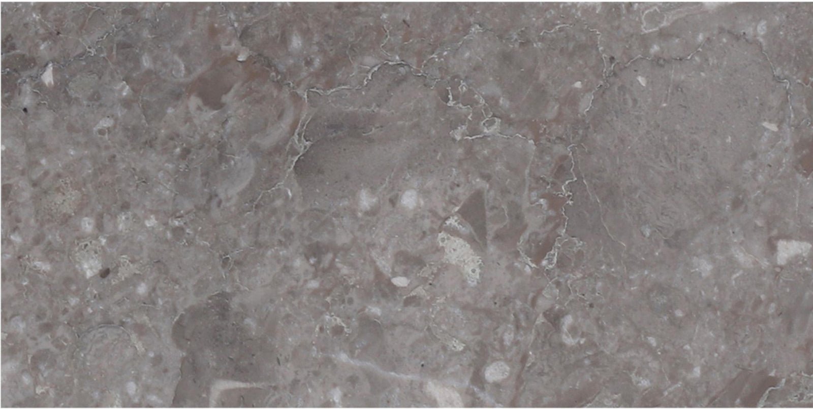 Caribbean Grey Honed 3'' x 6''  x 3/8'' Field Tile Field Tile 