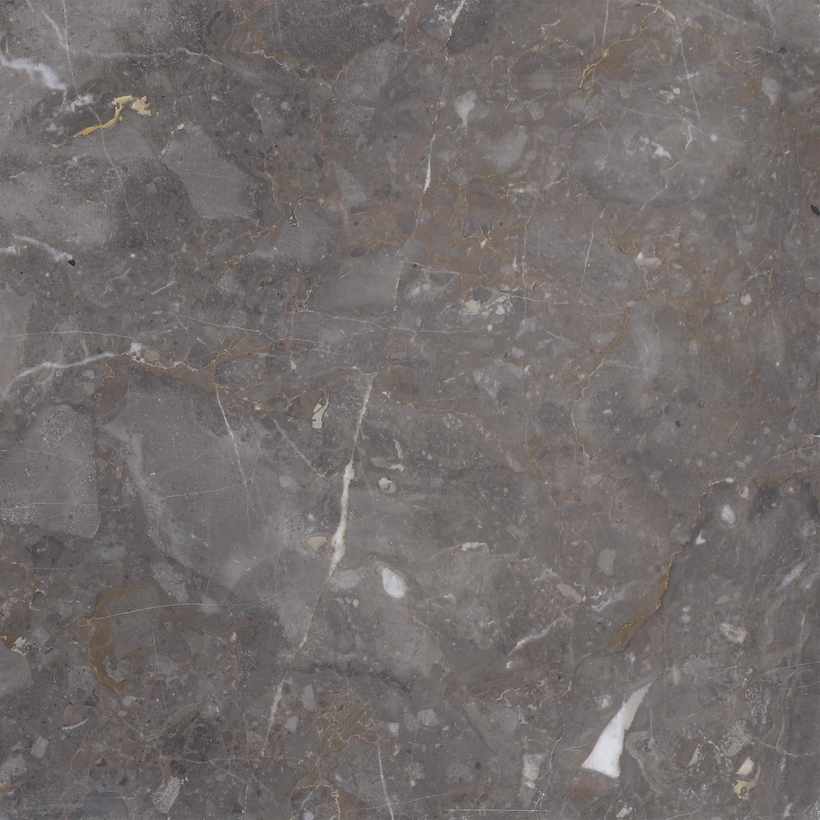 Caribbean Grey Honed 12'' x 12''  x 1/2'' Field Tile Field Tile 