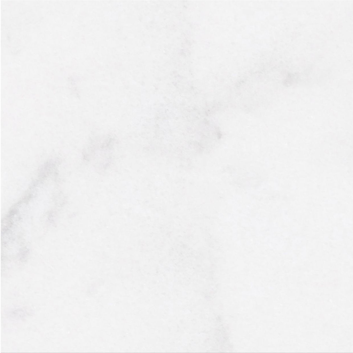Alba Vera Polished 12'' x 12''  x 3/8'' Field Tile Building Materials Alba Vera  12'' x 12'' Marble Field Tile