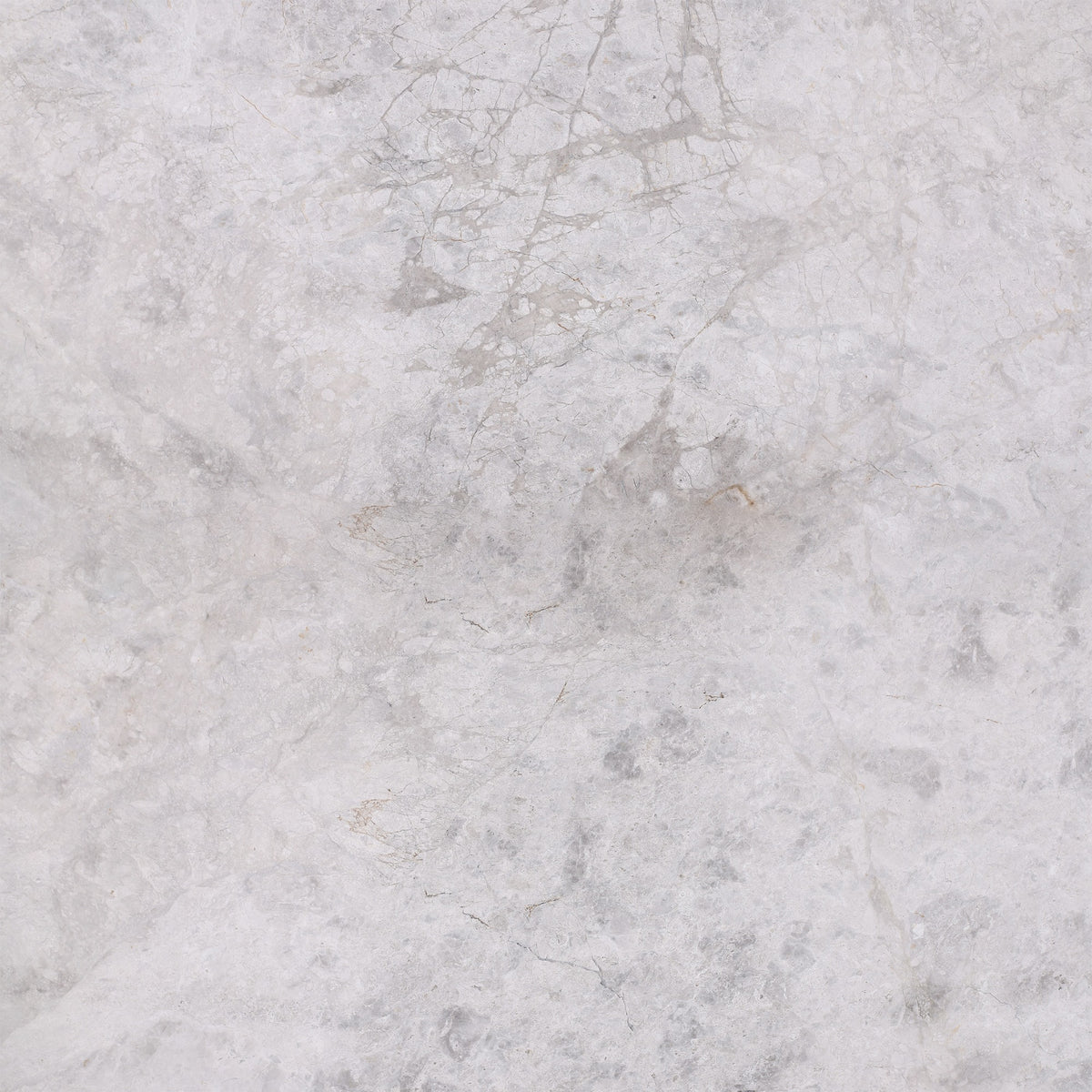 Tundra Grey Honed 24'' x 24''  x 5/8'' Field Tile