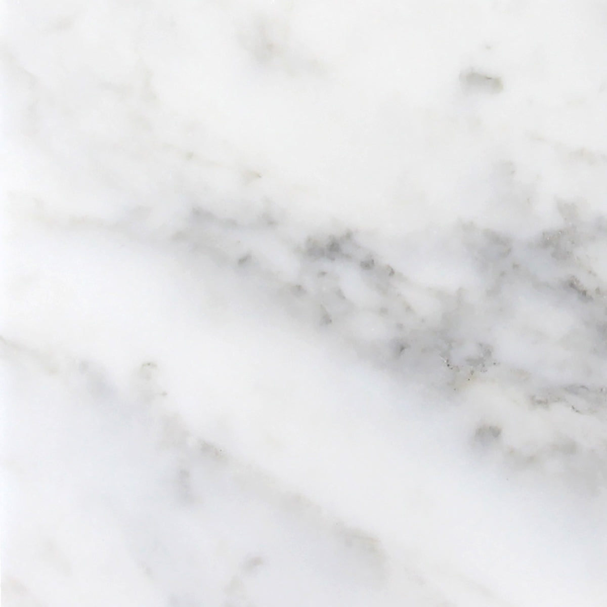 Calacatta Vida Honed 24'' x 24''  x 3/8'' Field Tile