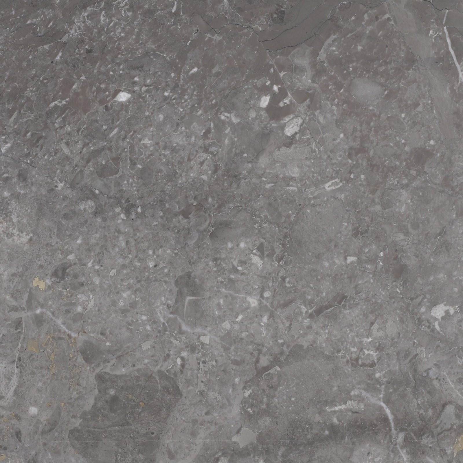 Caribbean Grey Honed 12'' x 12''  x 3/8'' Field Tile Field Tile 