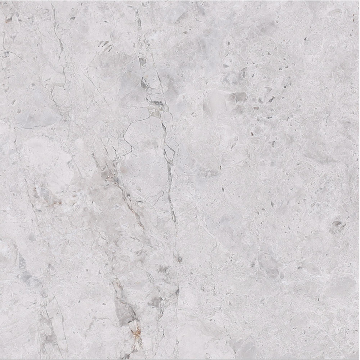 Tundra Grey Polished 12&#39;&#39; x 12&#39;&#39;  x 3/8&#39;&#39; Field Tile